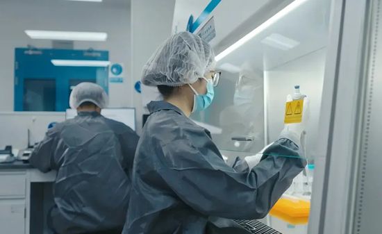 From Method to Submission: A Practical Roadmap for Viral Clearance Validation