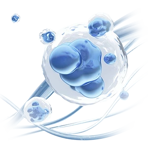 Cell Biology Platform Cell Biology Platform