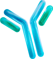 Immunology Platform