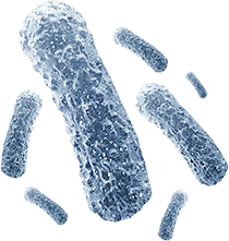 Microbiology Platform
