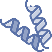 Recombinant <br/>Protein