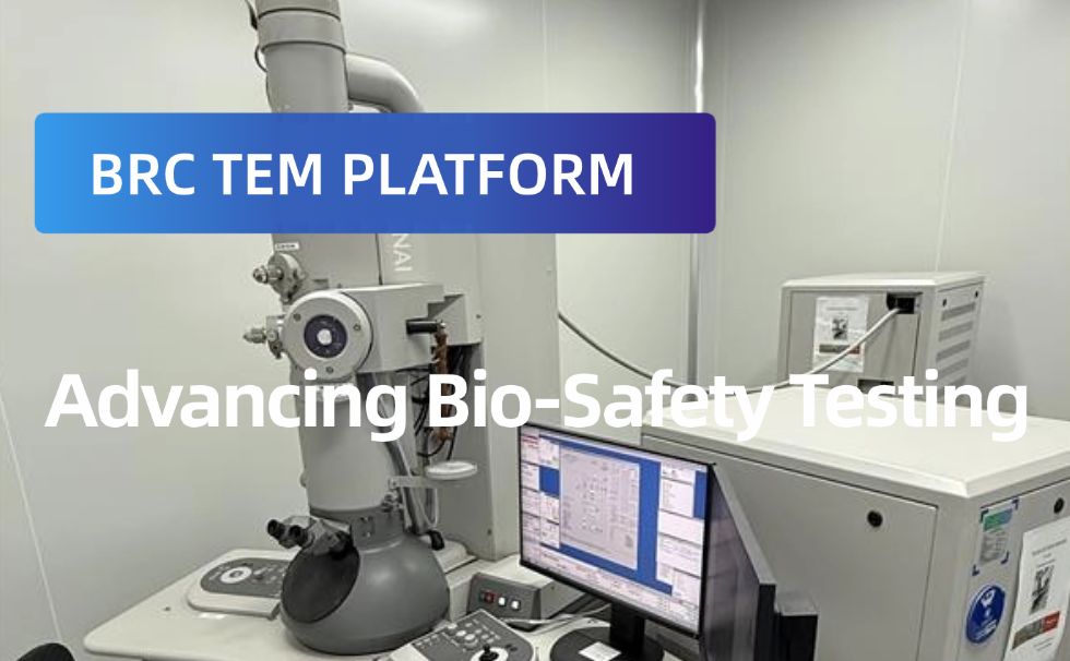 BRC TEM Platform