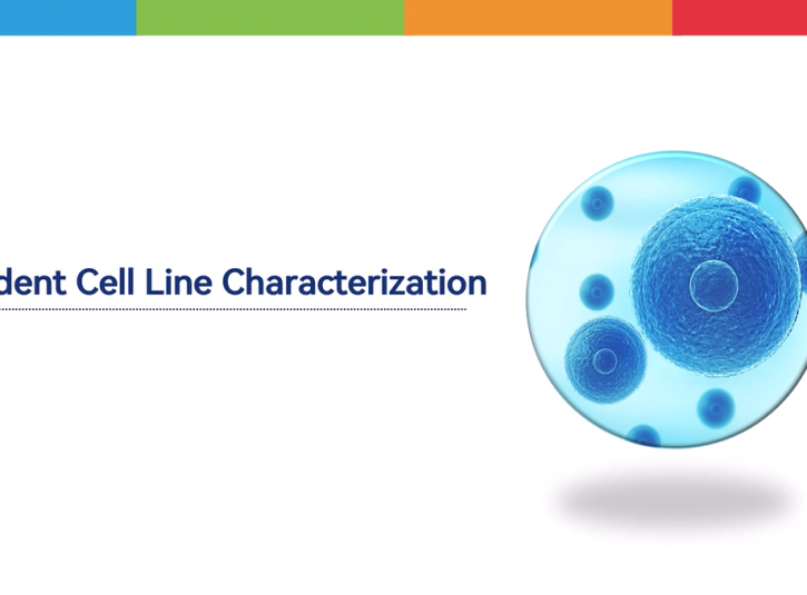 Rodent Cell Line Characterizaiton