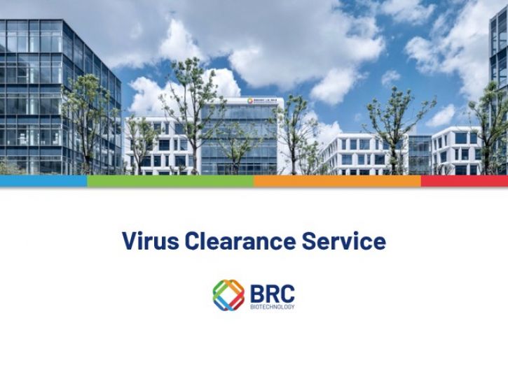 Virus Clearance Studies
